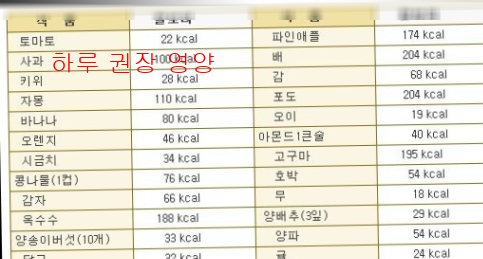 하루 권장 영양3