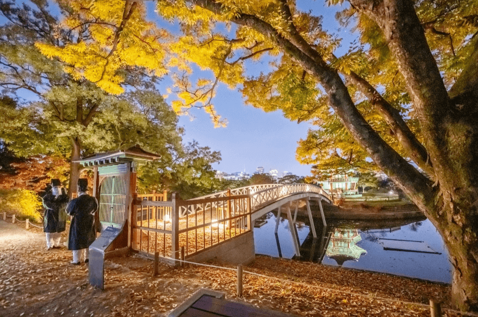 2024 경복궁 별빛야행 예매