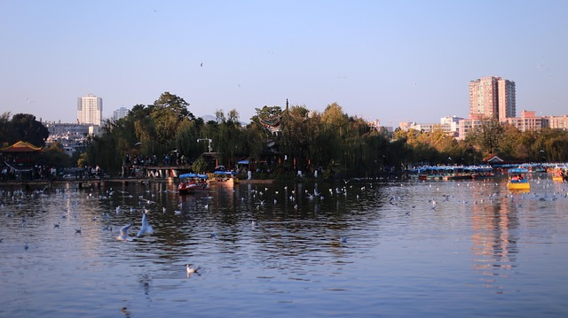 중국 속의 봄 도시, 쿤밍 - 1년 내내 봄 날인 이유는? 관련 이미지2