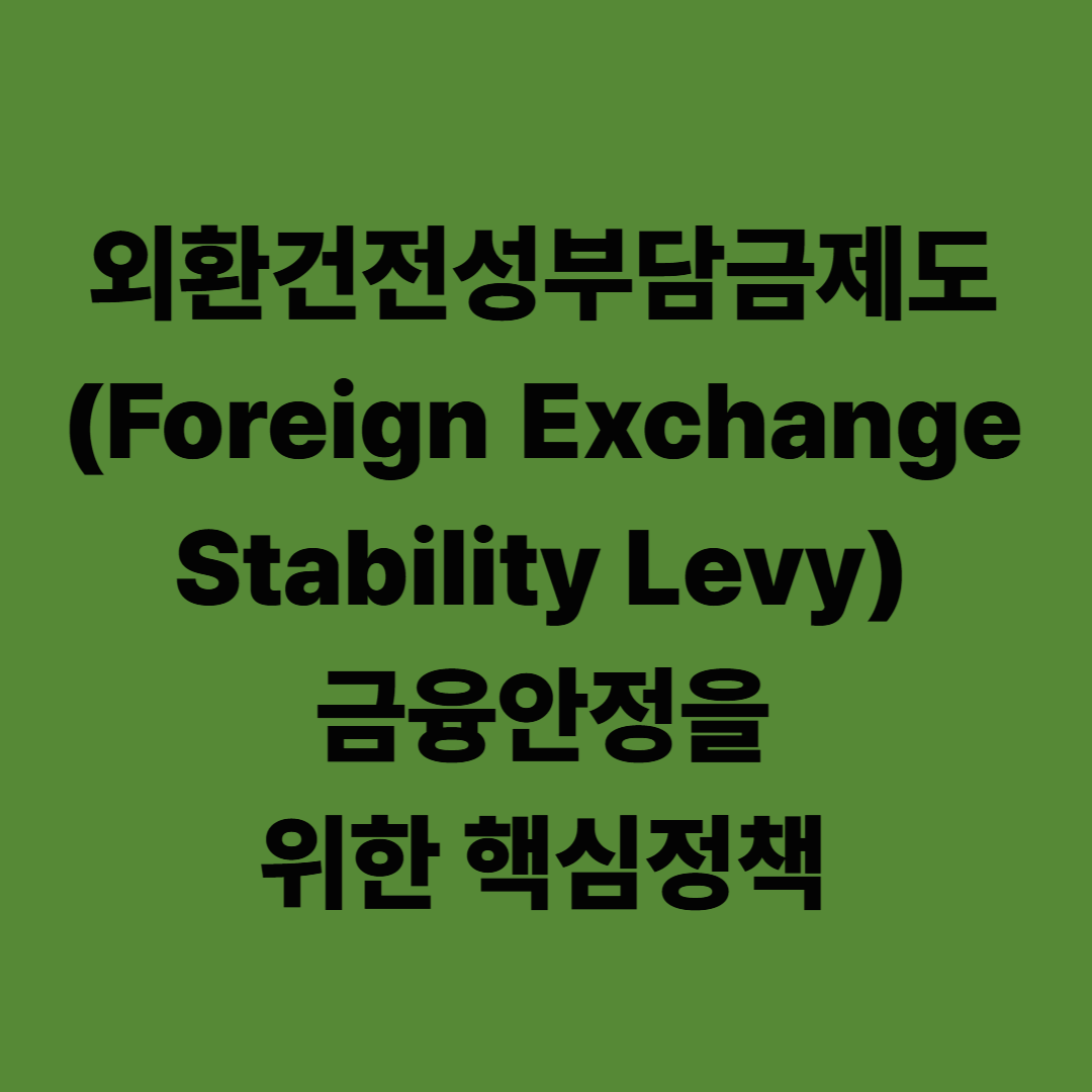 외환건전성부담금제도(Foreign Exchange Stability Levy): 금융안정을 위한 핵심 정책