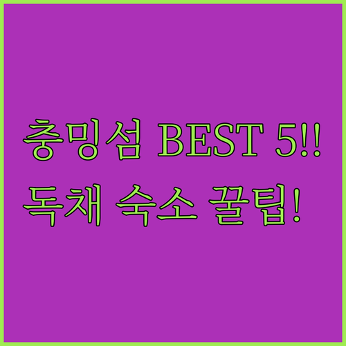 충밍섬 여행 가이드 호텔 독채 민숙 ..