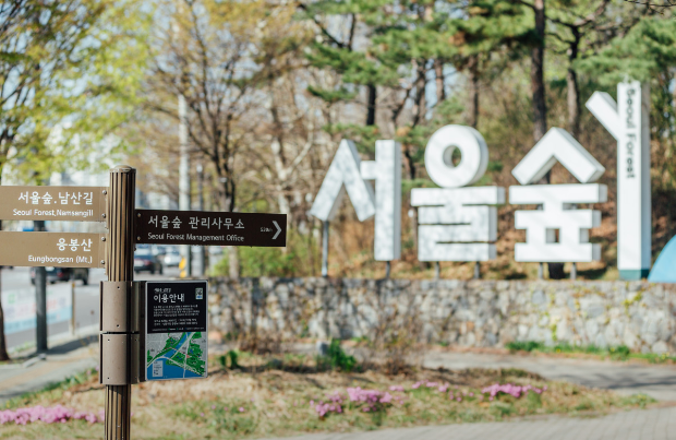 서울근교벚꽃명소