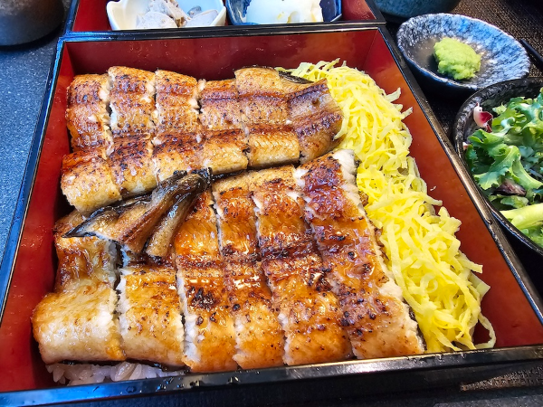 마곡나루역 마곡역 장어덮밥 맛집 우나마곡 가족모임 회식장소