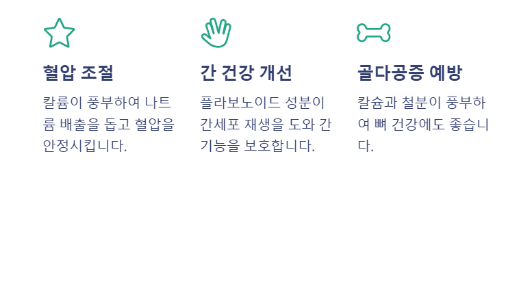 대추의 효능