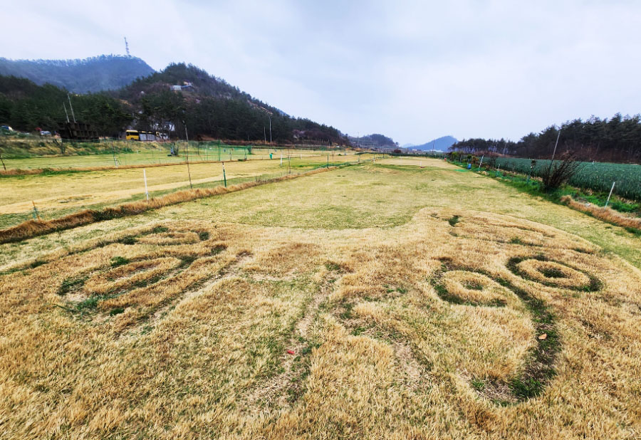 신안군 임자도 대광파크골프장 소개