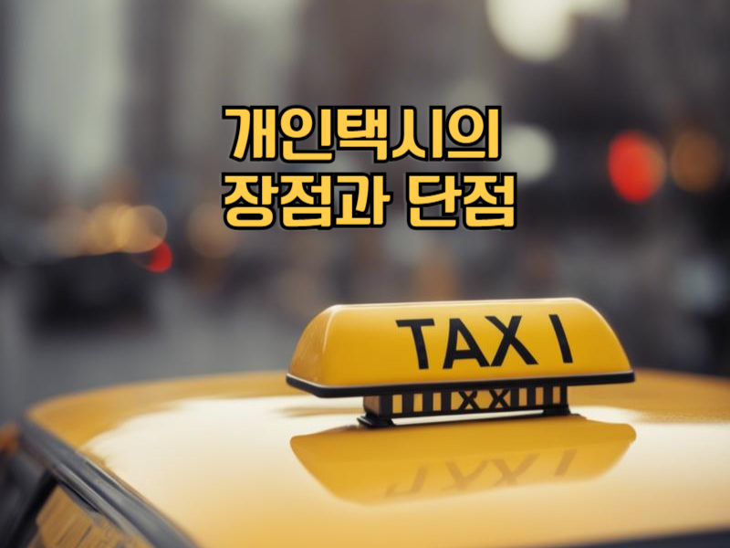 개인택시의 장점과 단점