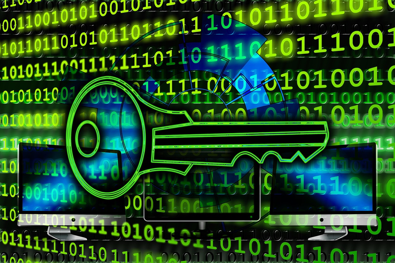 이중인증 표현을 위한 보안 관련 이미지