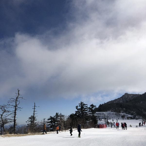 스키장_슬로프_정상