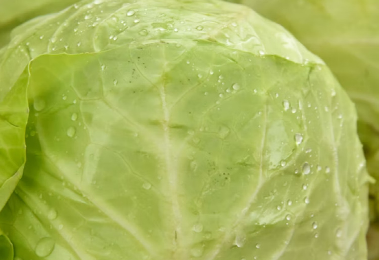 역류성식도염에 좋은 음식