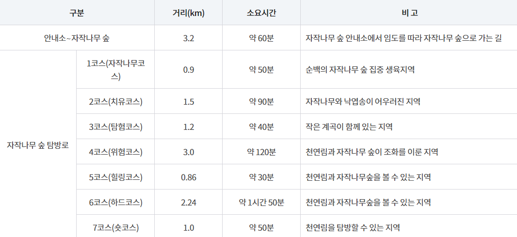 속삭이는 자작나무 숲 탐방로