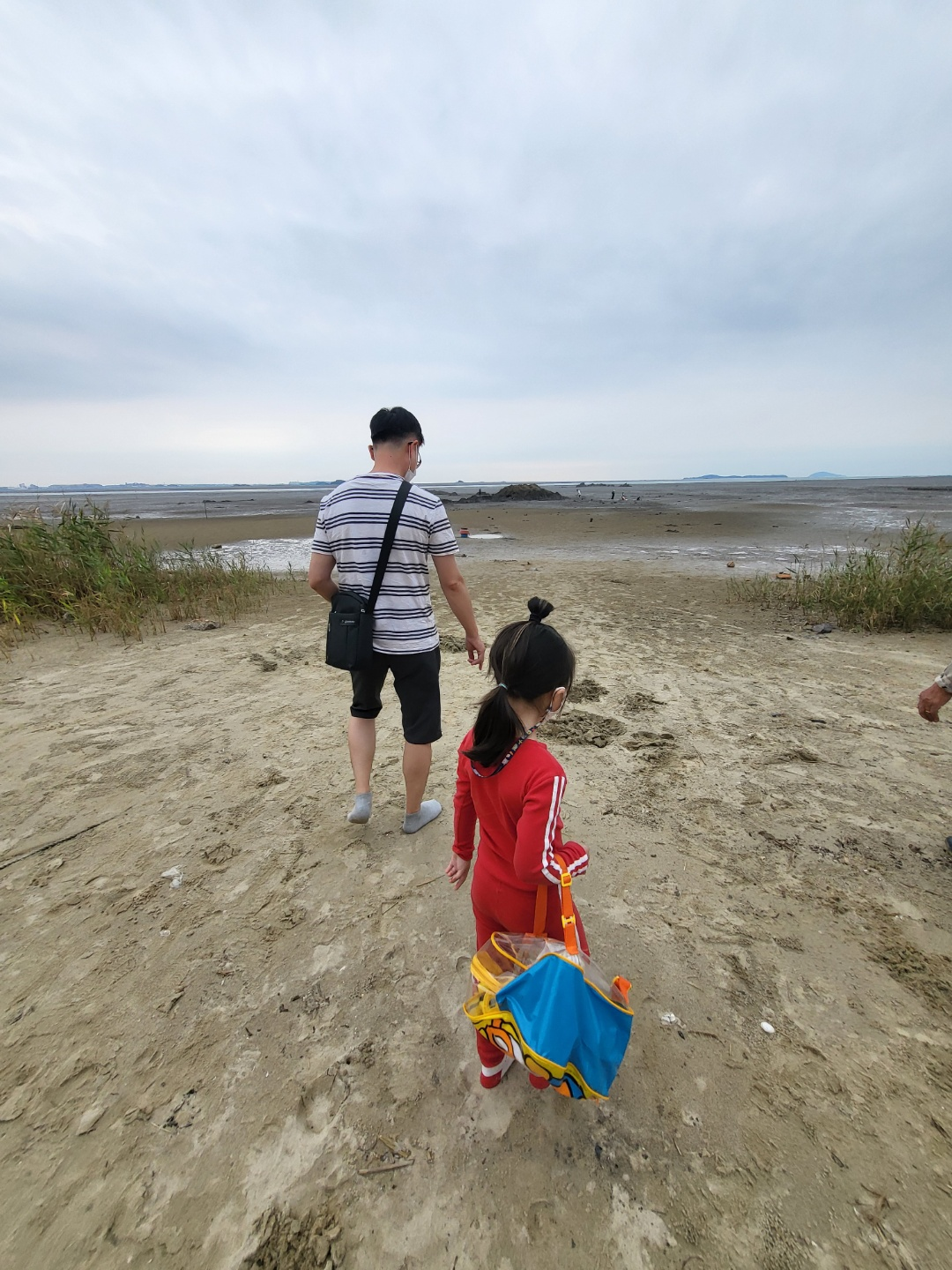 서천 갯벌체험&amp;#44; 모시조개 캐기 (서천송림갯벌체험장)