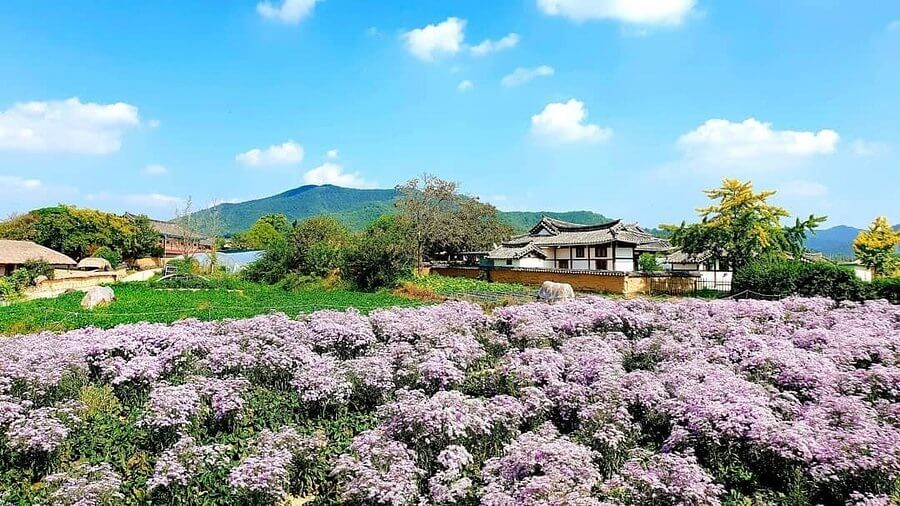 안동-하회마을-사진