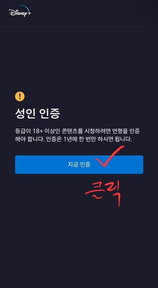 디즈니플러스 성인인증