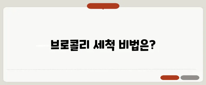 브로콜리 씻는방법 쉽게 정리