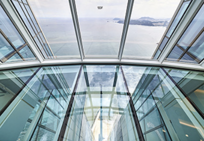 쇼킹브릿지 사진