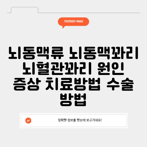 뇌동맥류 뇌동맥꽈리 뇌혈관꽈리 원인 증상 치료방법 수술 방법