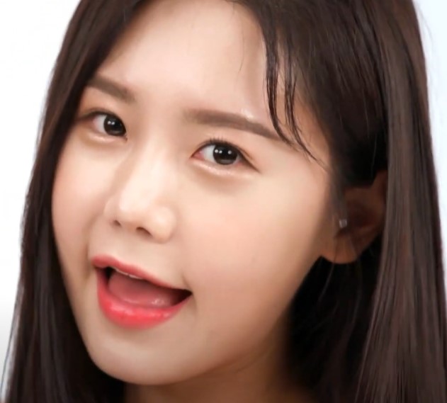 내일은 미스트롯 2 참가자 송하예