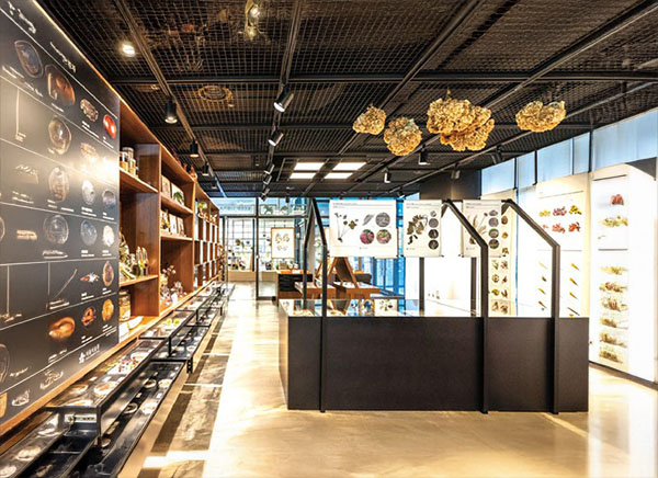 식물문화센터 1층에 있는 씨앗박물관