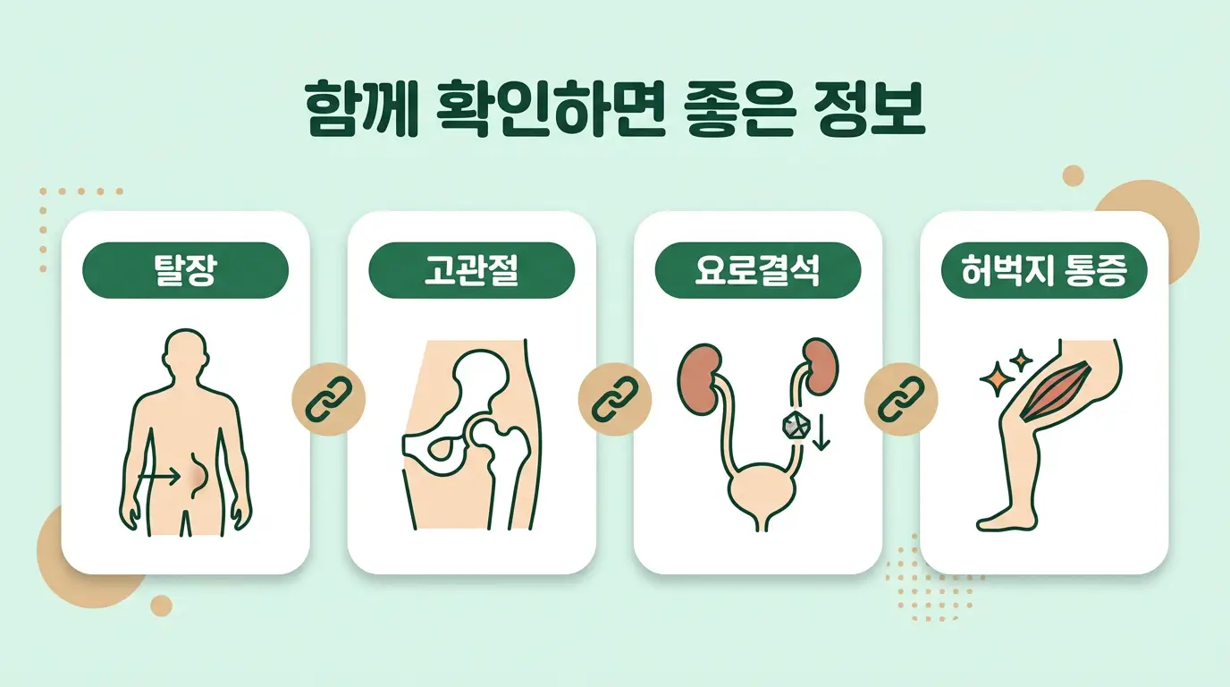 사타구니 통증 함께 읽으면 좋은 글