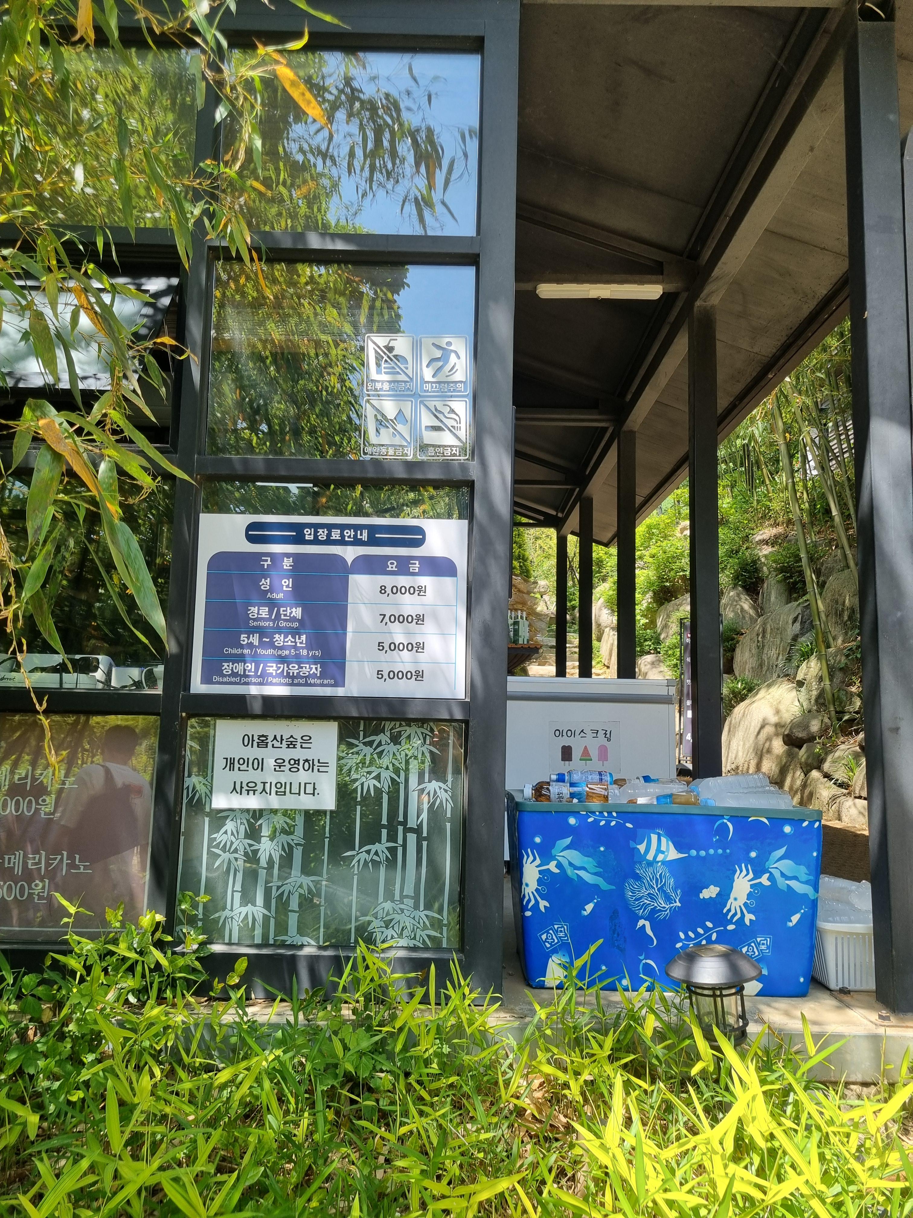 아홉산 숲