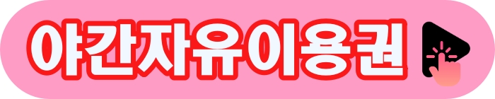 야간자유이용권