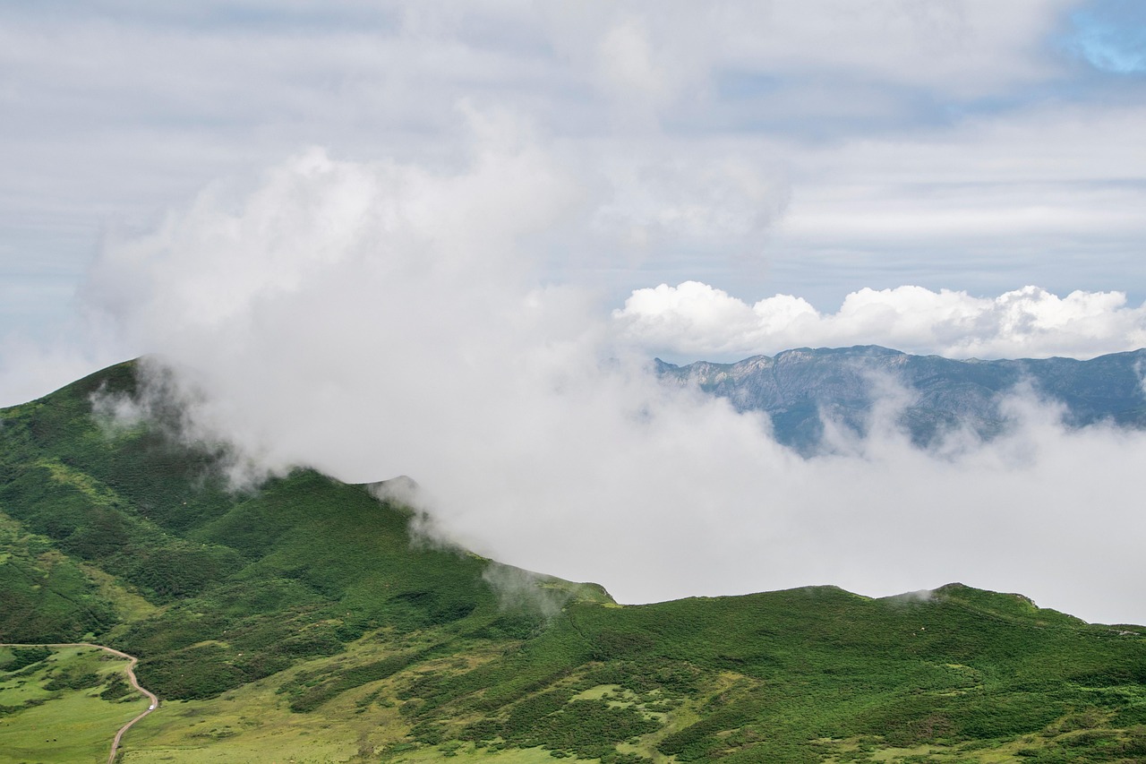 우리는 왜 다른 사람에게 끌릴까? 심리학적 접근