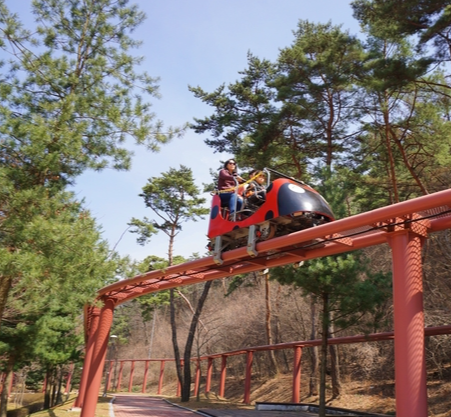 보은 가볼만한곳 베스트10