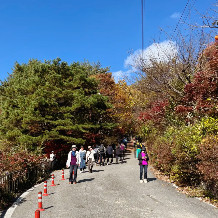 대둔산-등산로-초입부-단풍