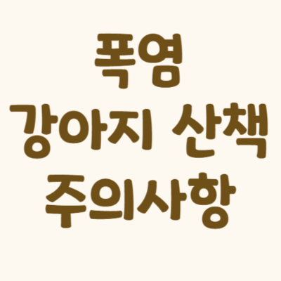 폭염 강아지 산책 주의사항