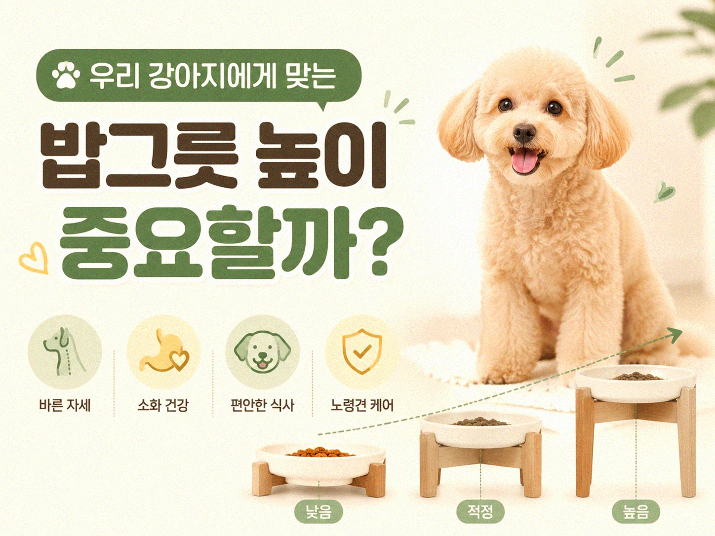 우리 강아지 밥그릇, 어떻게 고르셨나요