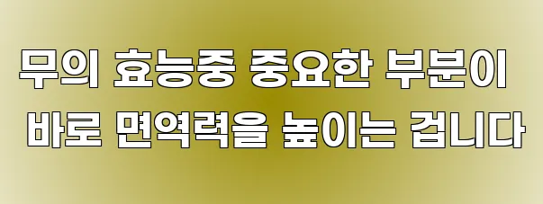 무의 효능중 중요한 부분이 바로 면역력을 높이는 겁니다