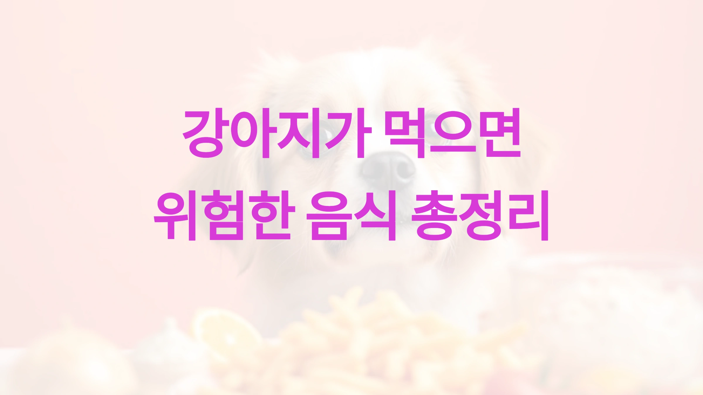 강아지가 먹으면 위험한 음식 총정리