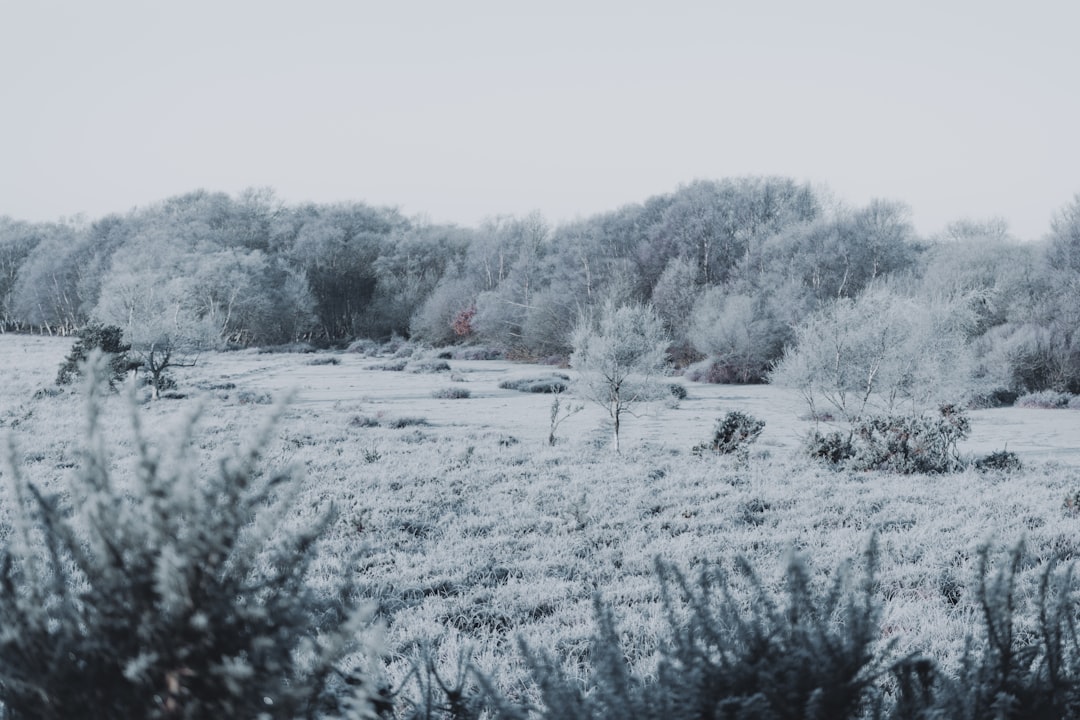 Coldness.
