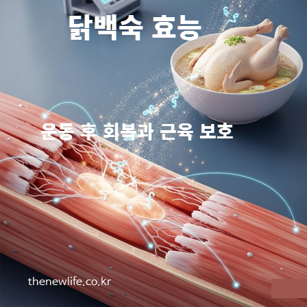 닭백숙은 단백질과 필수 아미노산이 풍부해 운동 후 근육 회복과 지방 감량에 효과적인 전통 보양식