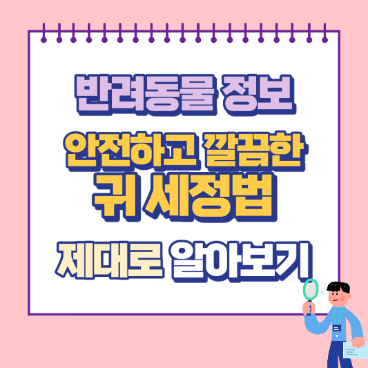 귀 세정법 반려동물