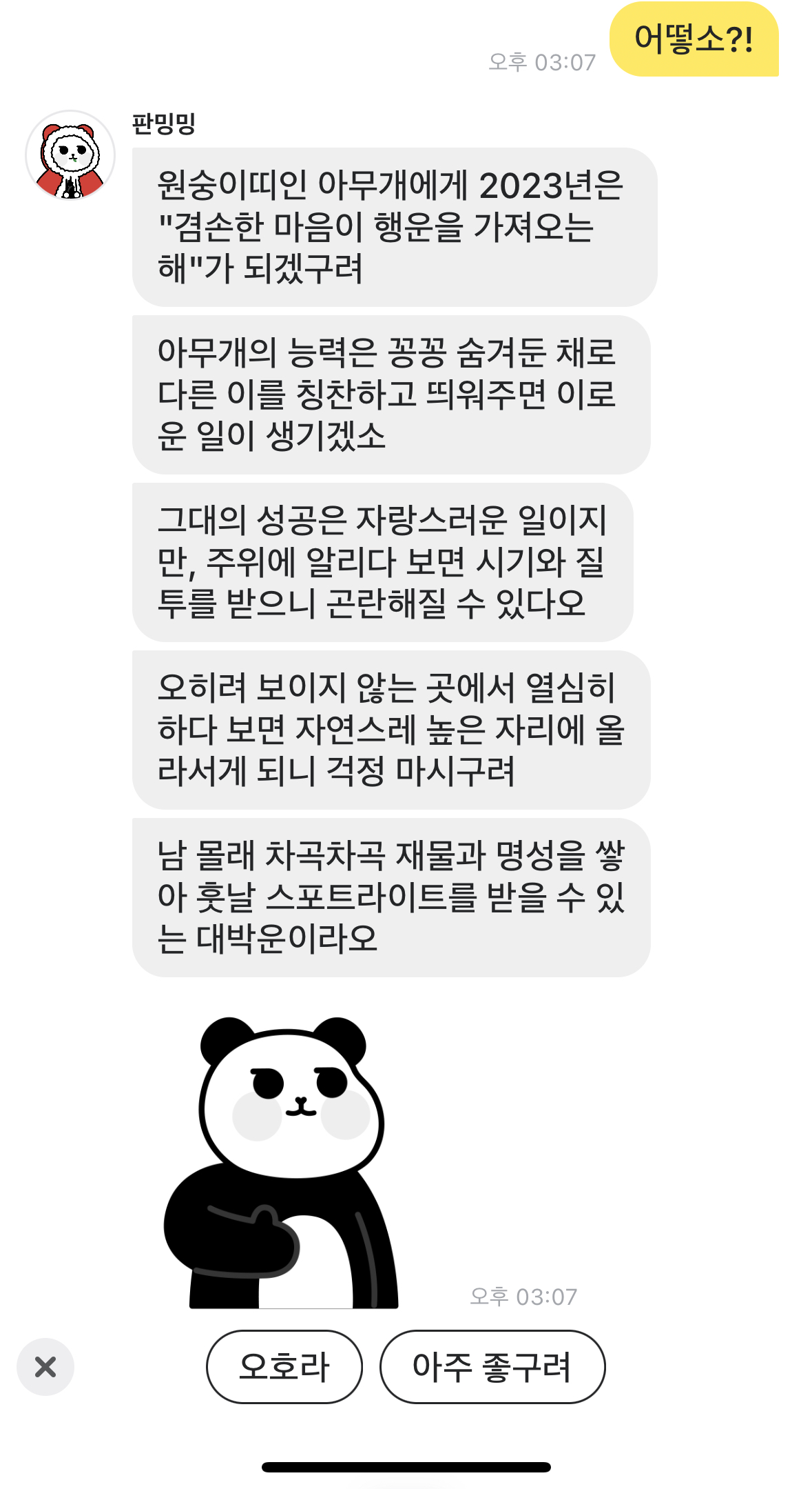 2023년 운세