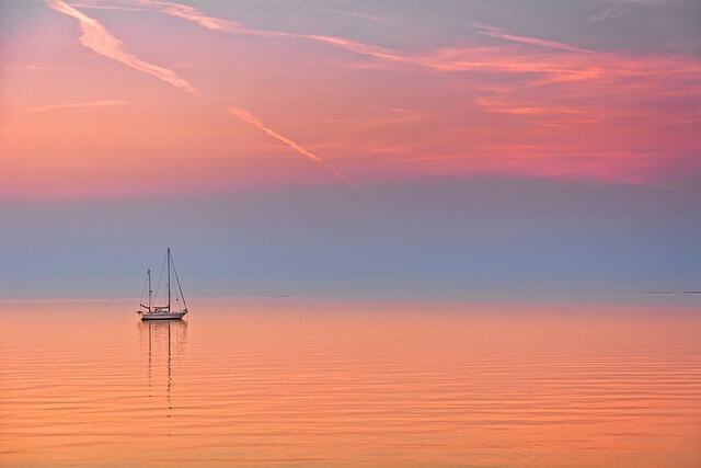 햇빛과 식욕 변화/ 당이 땡기던 오후가 바뀌다