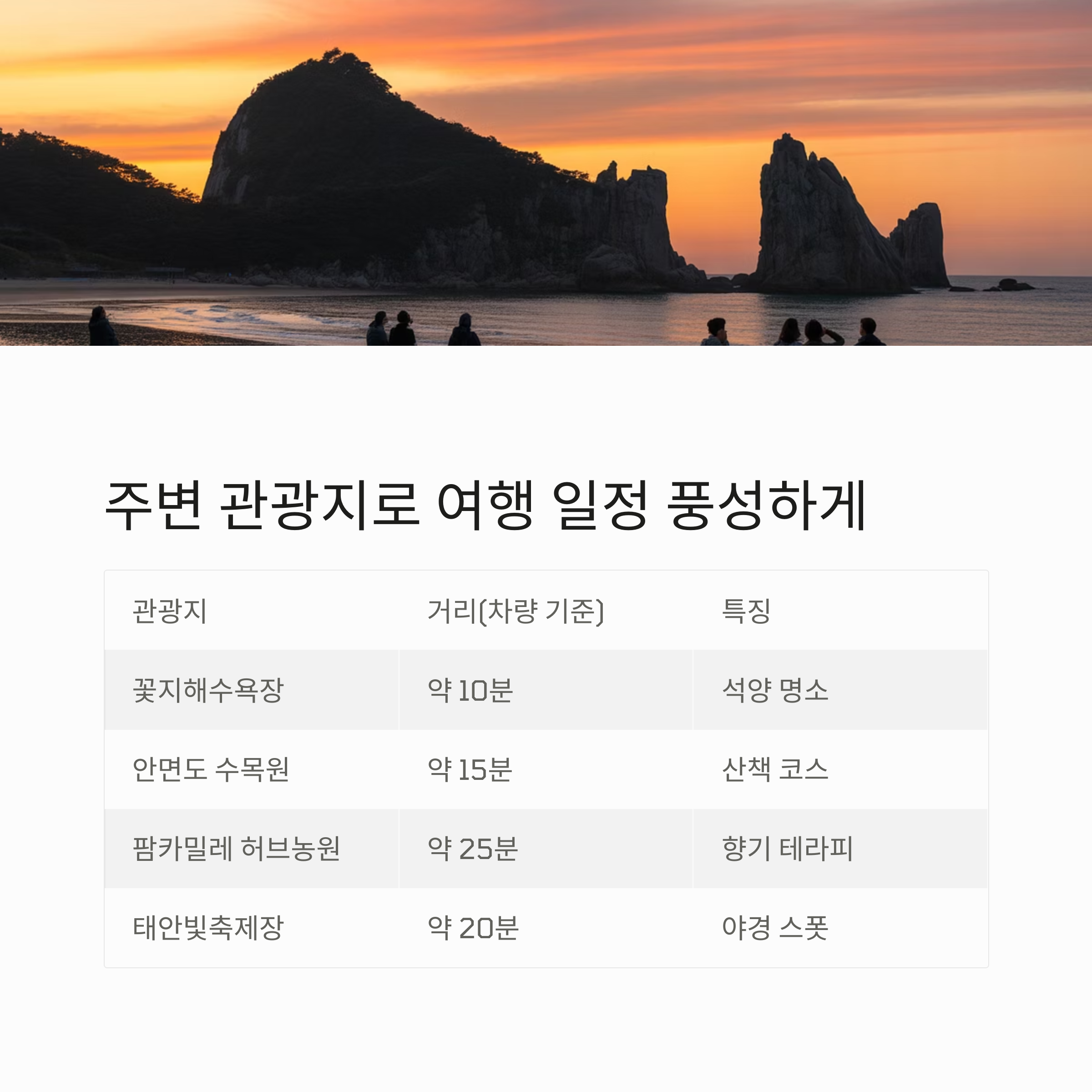 봄 감성 가득한 태안 세계튤립꽃박람회 완전정복