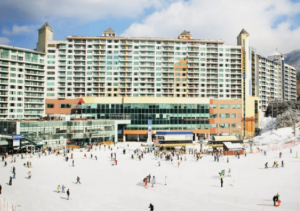 강원도 추천 워터파크 BEST 8곳