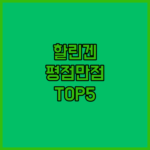 네덜란드 할린겐 여행 중 평점 10점..