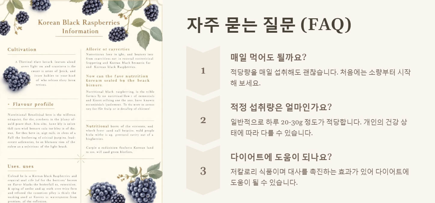 복분자 효능 부작용