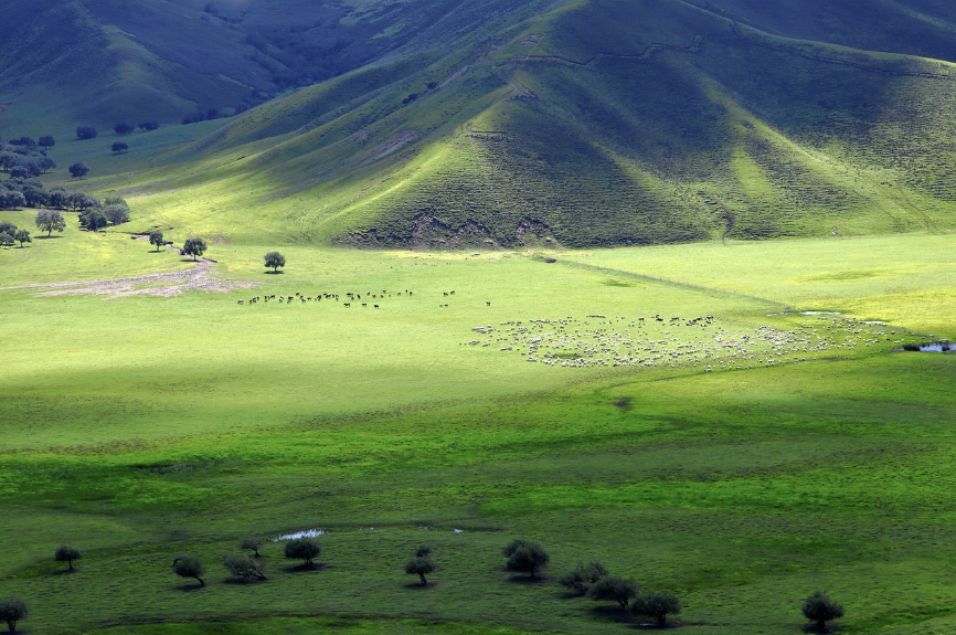 몽골 여행 대체 사진