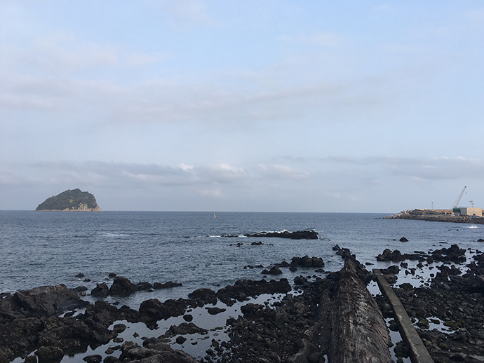 자구리-공원-바다3