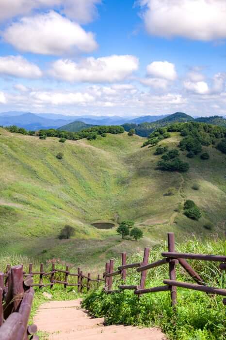 2024 민둥산은빛억새축제 기간 기본정보 