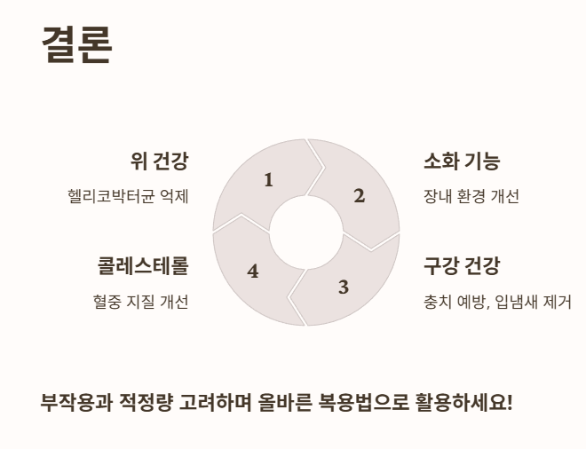 결론 : 올바른 복용법을 지키며 매스틱검을 활용
