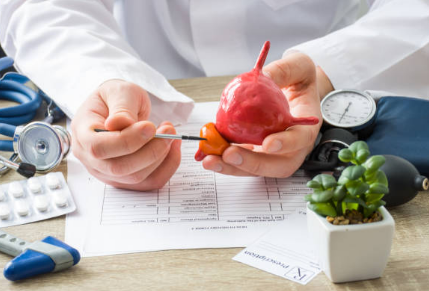 전립선 비대증 원인, 증상, 수술 총정리 (2024ver)