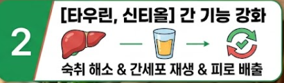 멍게 효능