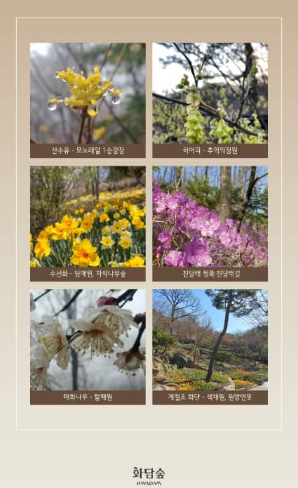 벚꽃축제 봄꽃축제