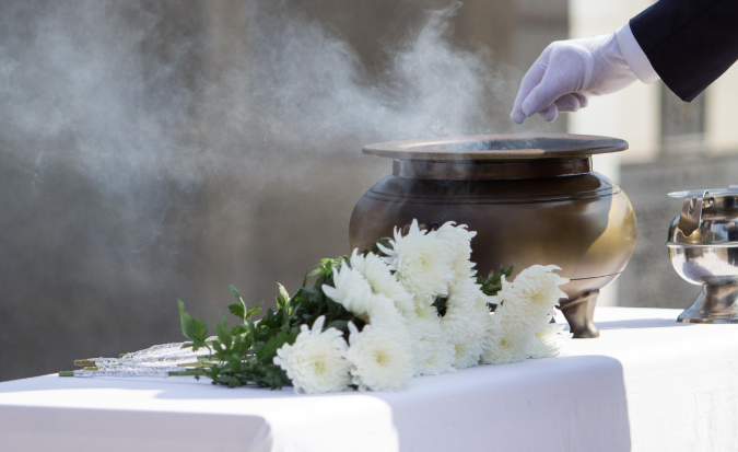 국화 꽃의 모습