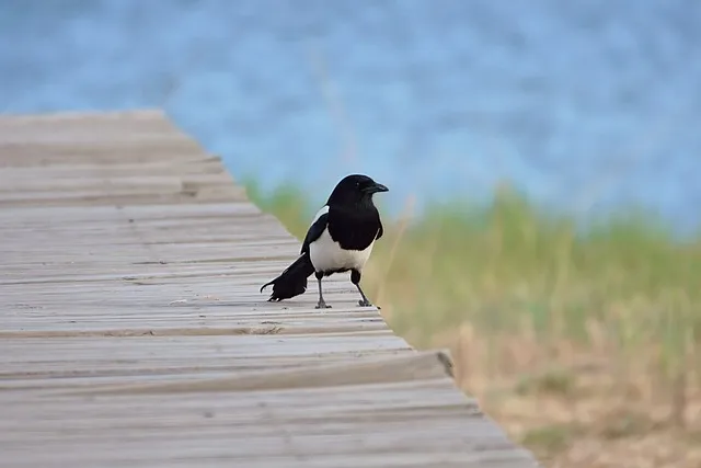 하추자도 배편 배시간표 예약 요금_3